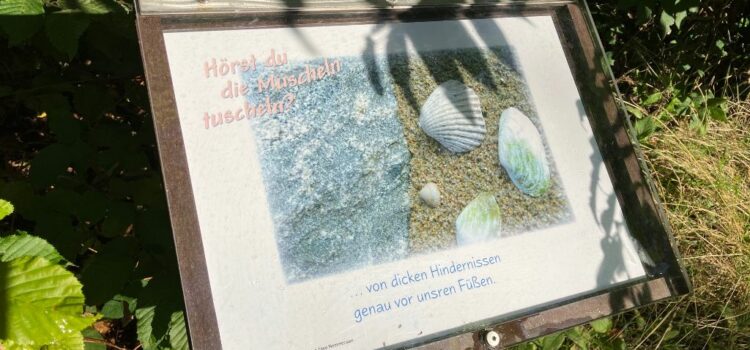 Muschelgetuschel neu auf dem Erzählweg in Flensburg